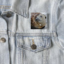Recherche de joints badges Faune