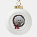 Recherche de frise bichon ornements Vacances