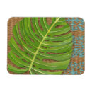 Recherche de paume magnets Palmier