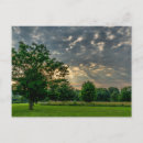 Recherche de good morning cartes postales Nature