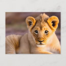 Recherche de yeux de lion cartes postales Nature