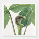 Recherche de illustration botanique vintage serviettes Nature