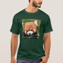 Recherche de panda roux Chine