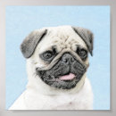Recherche de cotelette posters Chien