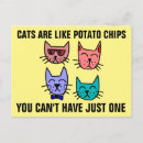 Recherche de funny cat cartes postales Lunettes de soleil
