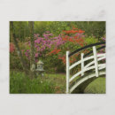 Recherche de rhododendron cartes postales Flore