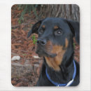 Recherche de rottweiler tapis souris Rotation