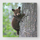 Recherche de bears horloges Pour tous