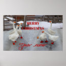 Recherche de bec posters Animaux