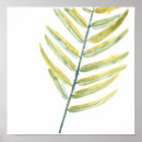 Recherche de botanique posters Feuille