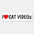 Recherche de vidéo virale Chats