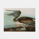 Recherche de james brown John james audubon