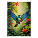 Recherche de colibri posters Nature