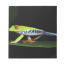 Recherche de grenouille blocsnotes Forêt tropicale