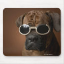 Recherche de chien domestique électronique Photographie