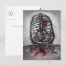 Recherche de cage cartes postales Anatomie