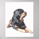 Recherche de laying posters Canine