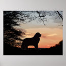 Recherche de silhouette de chien posters Race