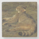 Recherche de felix chat maison deco Félin