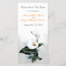 Recherche de blanc lilly Calla