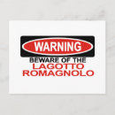 Recherche de lagotto romagnolo Canine