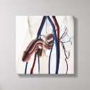 Recherche de gland art Illustration