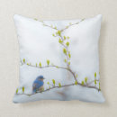 Recherche de ornithologie maison deco Animal