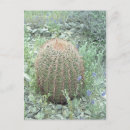 Recherche de pétales de rose cartes postales Pour eux