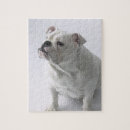 Recherche de bouledogue anglais puzzles Humour