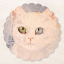 Recherche de yeux bleus dessous de verres Chat