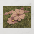 Recherche de faux vintage cartes postales Fleurs