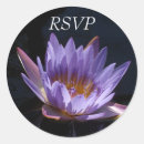 Recherche de lotus pourpre autocollants Pour tous