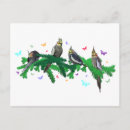 Recherche de cockatiel cartes postales Oiseau