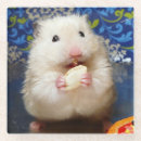 Recherche de capitales dessous de verres Horizontal