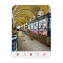 Recherche de marché magnets Shopping