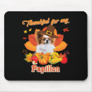 Recherche de chien papillon tapis souris Dog