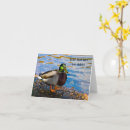 Recherche de canards vœux cartes Mignon