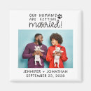 Recherche de chien chat invitations Pour eux