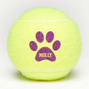 Recherche de tennis balles Chien