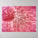 Recherche de sperme posters Illustration