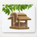 Recherche de écureuils tapis souris Rongeur