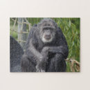 Recherche de primat puzzles Pour enfants