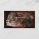 Recherche de loup conservation photographie Loups