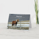 Recherche de cheval belge cartes postales Tirant d'eau