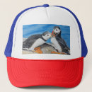 Recherche de atlantique casquettes Faune