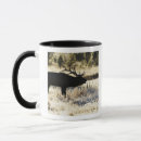 Recherche de yellowstone np Nature