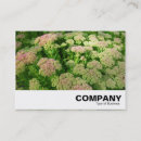 Recherche de joie cartes visite Moderne