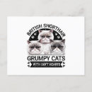 Recherche de chat grincheux cartes postales Chats