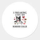 Recherche de collie dog autocollants Chiot