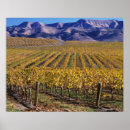 Recherche de lucia posters Nature